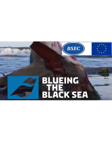 Dünya Bankası - Karadenizin Mavileştirilmesi Projesi Uluslararası Rapor 2023